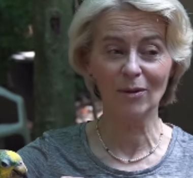 Imagem - Presidente da UE do Clima faz visita ao Museu Emílio Goeldi