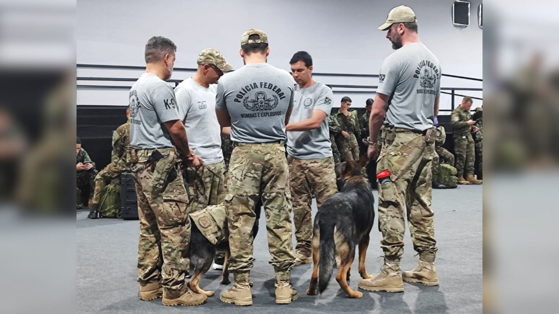 A Polícia Federal realizou a varredura com a ajuda de cães farejadores.