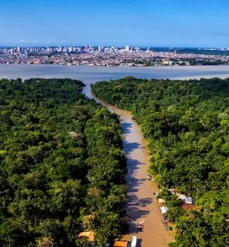 Imagem - Deputada fala sobre PL que destinou Belém como capital do Brasil durante a COP30