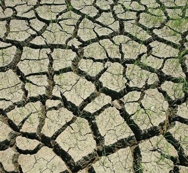 Imagem - Brasil lança iniciativa global para recuperar áreas degradadas na COP30