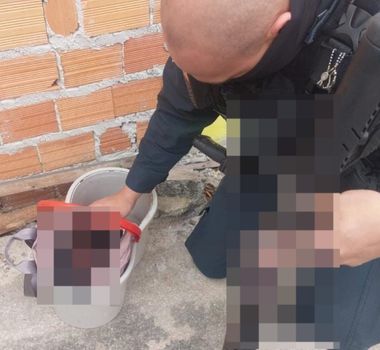 Imagem - Recém-nascido é resgatado após ser abandonado em balde em Ananindeua