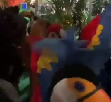 Imagem - COP30 tem desfile de animais regionais na Green Zone