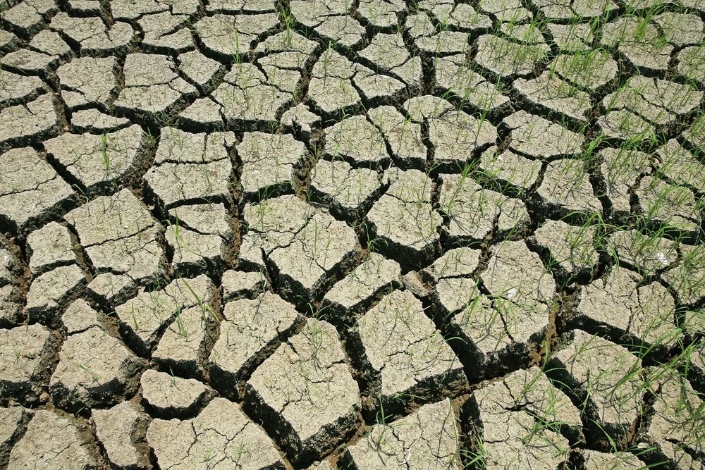 A iniciativa busca unir recursos financeiros e tecnologias sustentáveis para restaurar solos, reduzir emissões e fortalecer a produção de alimentos de forma sustentável.