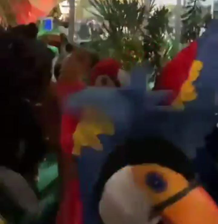 Desfile exaltou a biodiversidade da Amazônia -