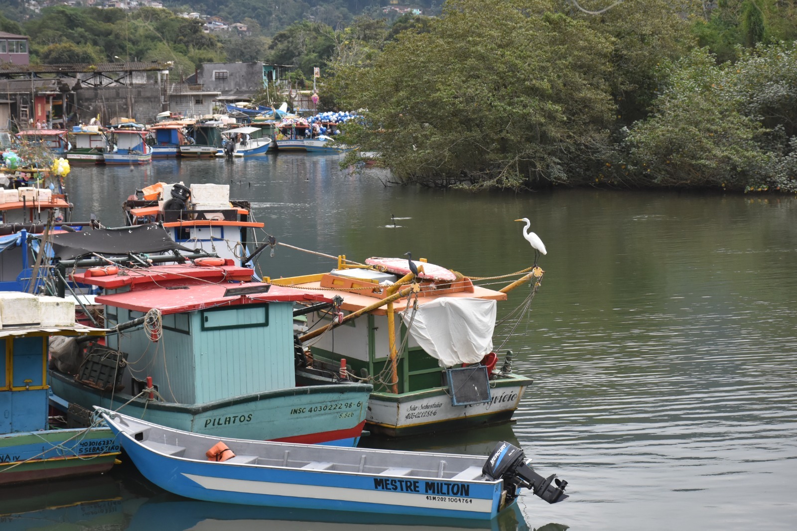 Imagem - Mata Atlântica na COP30: casa destaca urgência da conservação e restauração contra crise climática