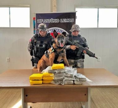 Imagem - Fiscalização apreende 16,5 quilos de drogas no Marajó