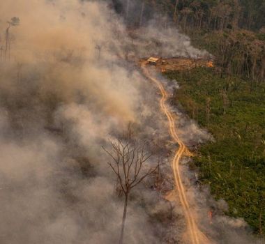 Imagem - COP30: ativista pede apoio aos povos tradicionais no combate às mudanças climáticas