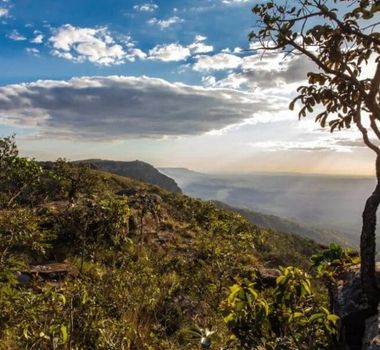 Imagem - Goiás apresenta ações de sustentabilidade e redução de emissões na COP30