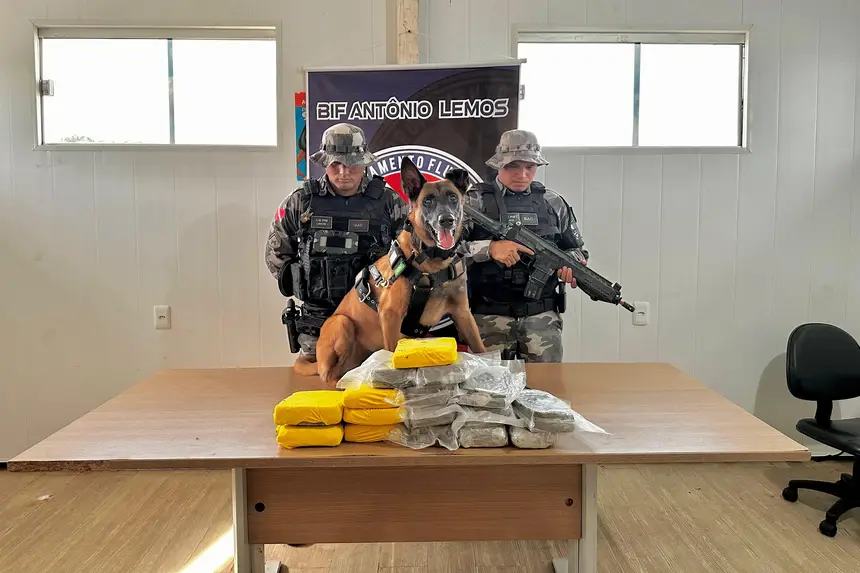 Ação contou com o apoio do cão farejador Jay-Z.