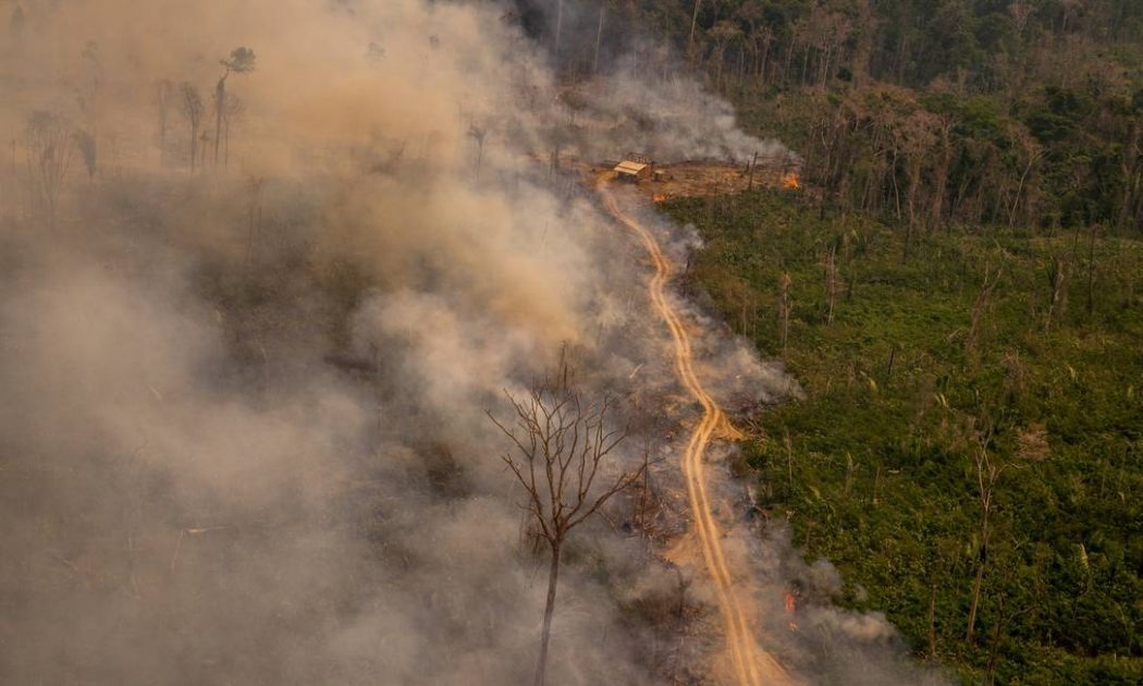 Imagem - COP30: ativista pede apoio aos povos tradicionais no combate às mudanças climáticas