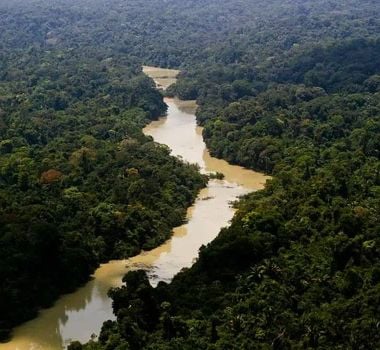 Imagem - COP30: Países menos poluentes servem de exemplo enquanto maiores emissores lutam para cumprir metas