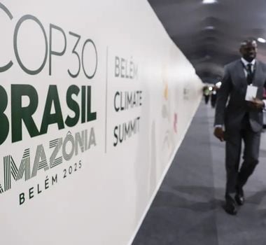 Imagem - IBGE apresenta dados inéditos sobre a Amazônia Legal durante a COP30