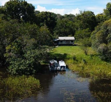 Imagem - Na COP30: TJPA lança protocolo de julgamento para nortear ações sobre venda de créditos de carbono