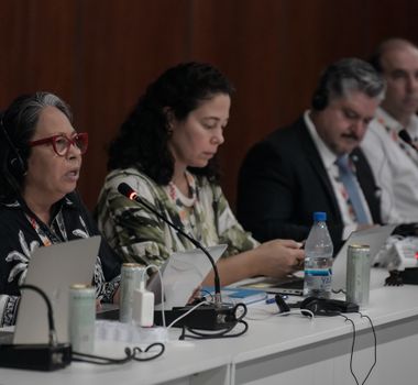 Imagem - Povos indígenas reivindicam protagonismo em planos de adaptação climática