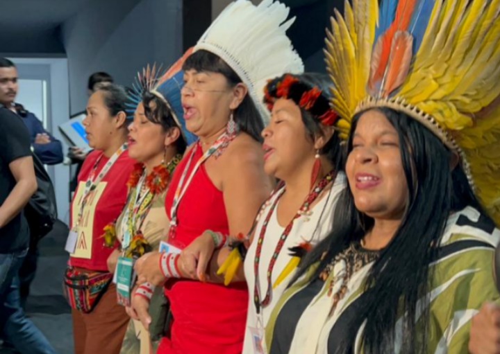 Imagem - Ministra Sonia Guajajara lidera marcha de mulheres indígenas na COP30; assista