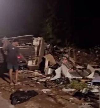 Imagem - Moradores denunciam crime ambiental e maus-tratos a animais em Ananindeua