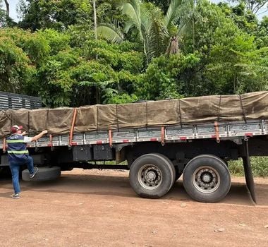 Imagem - Placas metálicas e madeira serrada são apreendidas durante fiscalização no Pará