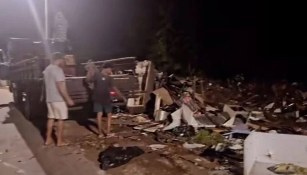 Imagem - Moradores denunciam crime ambiental e maus-tratos a animais em Ananindeua