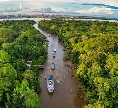 Imagem - Leilão fomenta projetos de bioeconomia e turismo sustentável com foco na Amazônia
