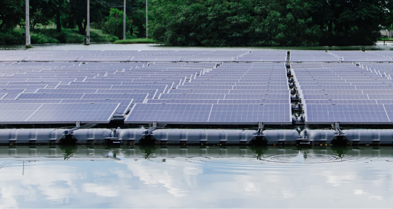 Banco da Amazônia está financiando a transformação sustentável