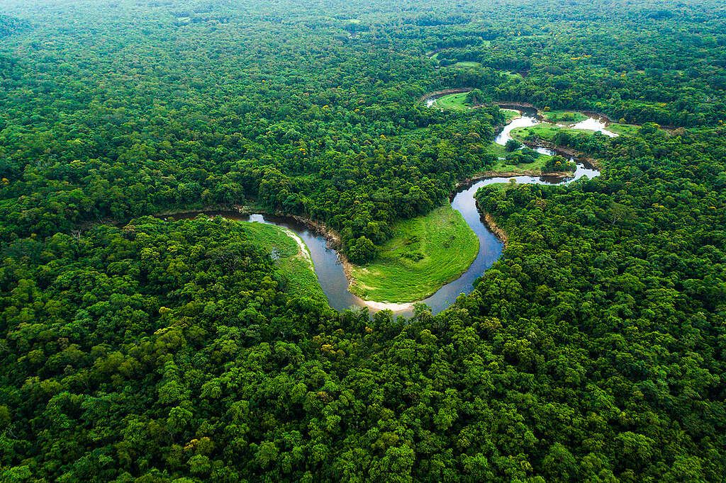 Amazônia, o mundo a seus pés