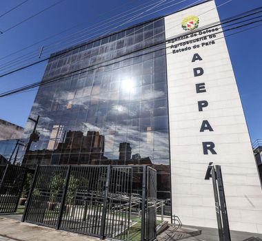 Imagem - Adepará lança PSS com salários de até R$ 2,7 mil e inscrições gratuitas