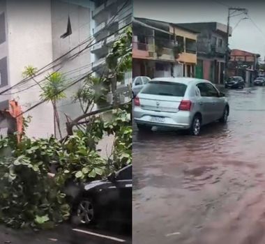 Imagem - Vídeo: chuva forte na tarde desta segunda derruba árvore e causa alagamentos em Belém