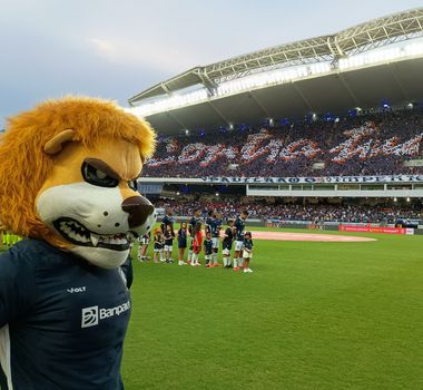 Imagem - Ingressos estão disponíveis para Remo x Goiás; veja quanto custa e onde comprar