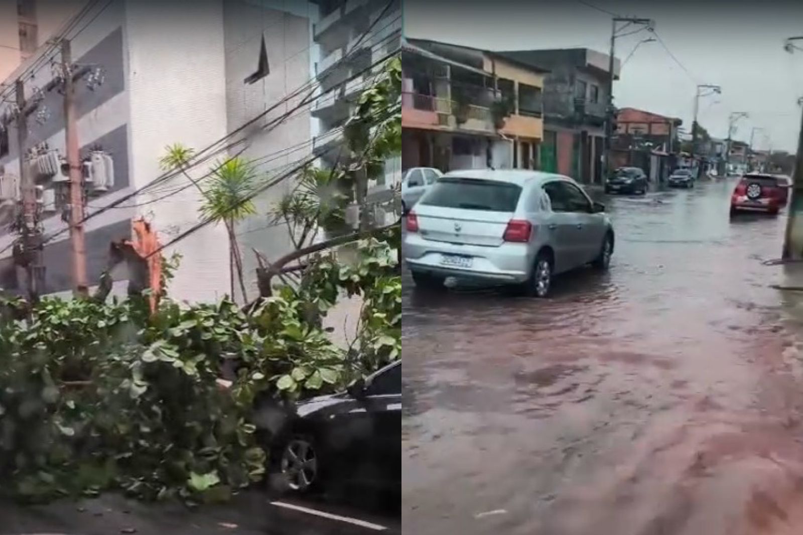 Chuva forte derruba árvore e causa alagamentos em Belém.