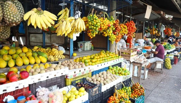 Imagem - Frutas voltam a ficar mais caras em Belém e reajustes passam de 8%