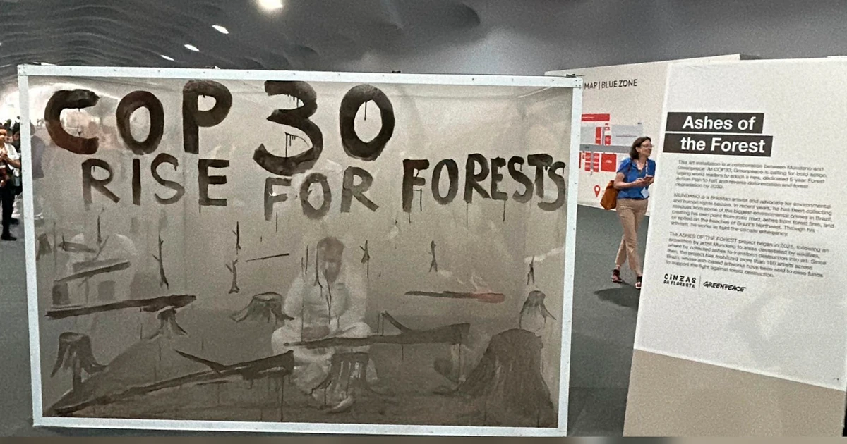 Greenpeace Pressiona Líderes da COP30 por Ação Rápida Contra o Desmatamento