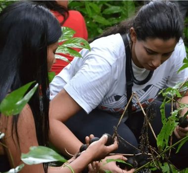 Imagem - Mais de 60% dos brasileiros consideram a Amazônia um território desconhecido