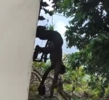 Imagem - Vídeo: homem tenta furtar cabos de energia e sofre descarga elétrica no Telégrafo, em Belém