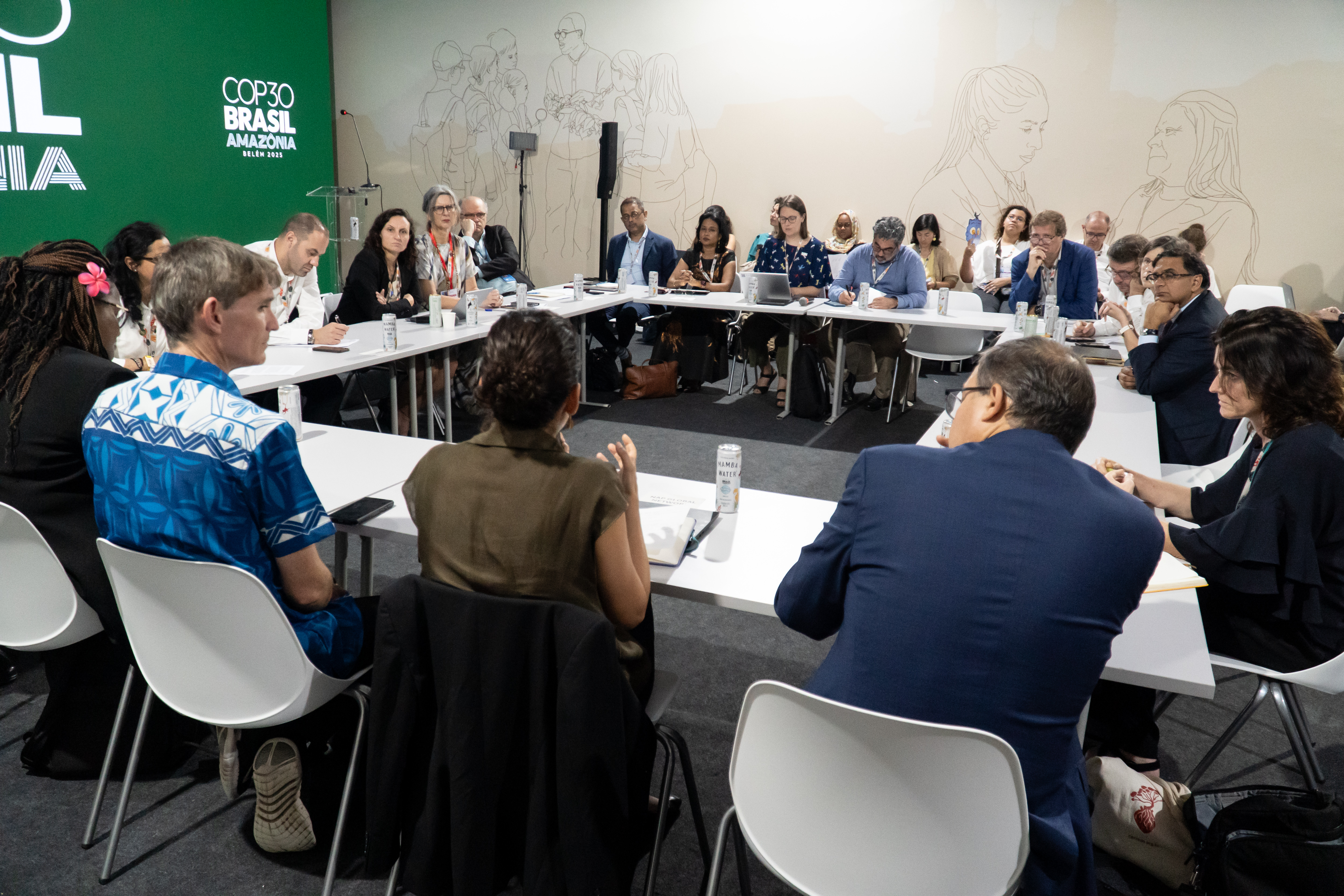 Aliança pela implementação de Planos Nacionais de Adaptação -