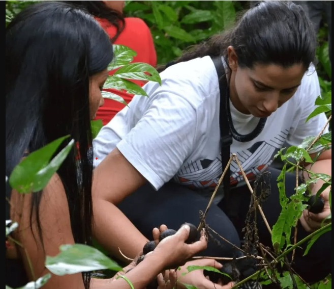 Estudo apresentado pela ASSOBIO durante a COP30 mostra que a floresta segue vista como “pulmão do mundo”, mas evento pode ajudar a atualizar essa percepção