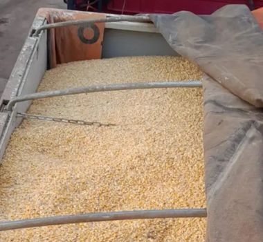 Imagem - 48 mil quilos de milho que saiu do MT com destino a Roraima são apreendidos no Pará