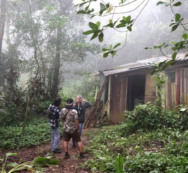 Imagem - Quilombolas preservam 92% da vegetação nativa na Amazônia