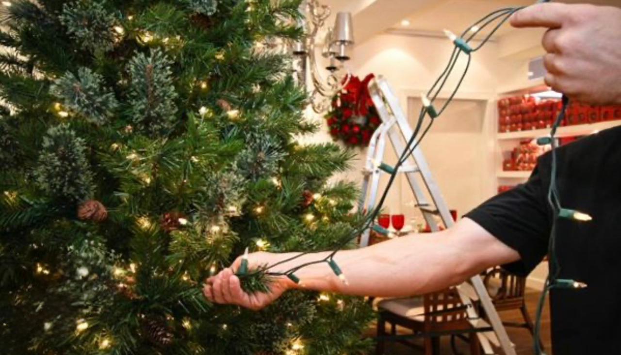 Equatorial Pará orienta sobre o uso correto de fios, extensões e iluminação.