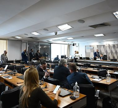 Imagem - Comissão de Agricultura do Senado cobra explicações do Governo do Brasil