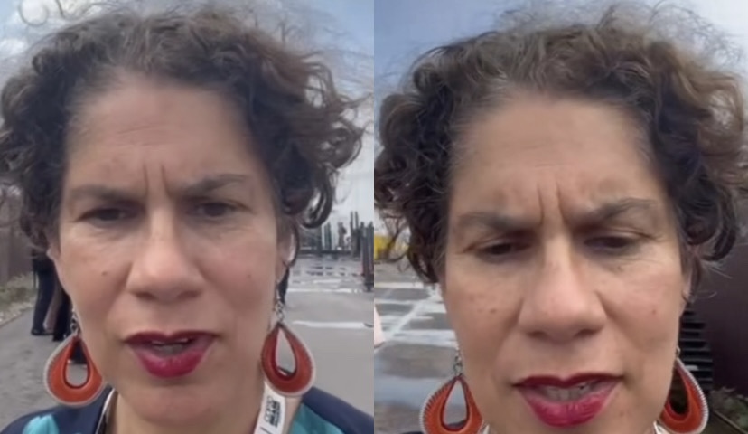 Ministra do Meio Ambiente do Chile