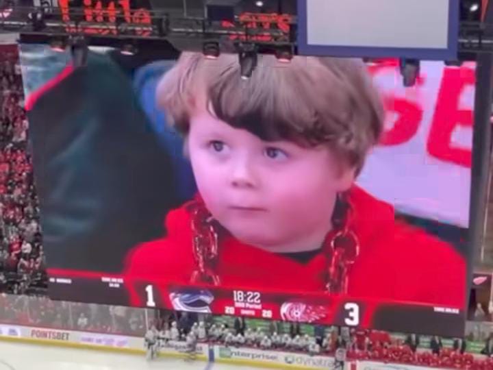 Vídeo cativou os internautas nas redes sociais -