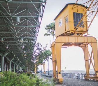 Imagem - Pesquisa revela que 70% da população do Pará confia no legado positivo da COP30