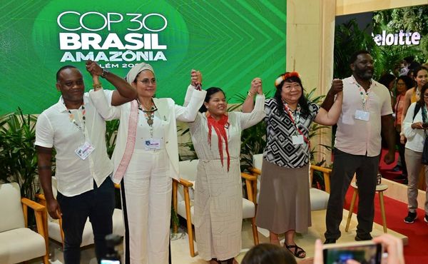 Fundo Amazônia destina R$123 milhões a projetos de recuperação ecológica de territórios indígenas