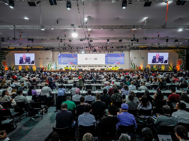 Imagem - COP30: Acordo climático deixa de fora combustíveis fósseis