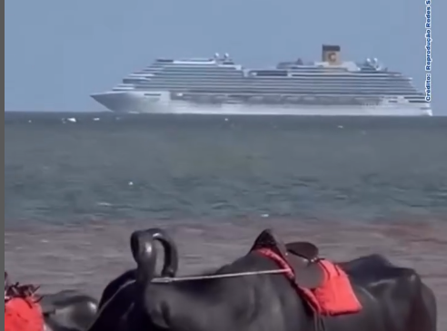 Imagem - Banhistas registram passagem de Cruzeiros da COP30 na frente da praia de Salvaterra