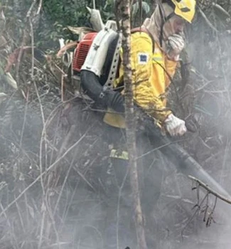 Imagem - Ibama intensifica combate a incêndios em terras indígenas no Pará