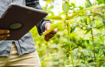 No Pará, plataforma reduz tempo de emissão de títulos de propriedade de 8 anos para 23 dias