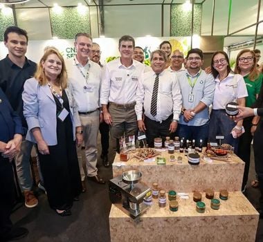 Imagem - Embrapa apresenta pesquisas para substituição de combustível fóssil por energia verde