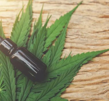 Imagem - Mercado de cannabis medicinal cresce e movimenta quase R$ 1 bilhão no Brasil em 2025