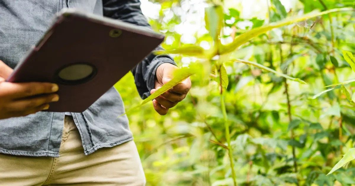 Imagem - No Pará, plataforma reduz tempo de emissão de títulos de propriedade de 8 anos para 23 dias